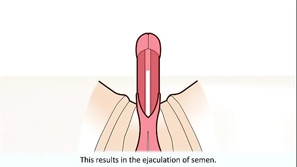 Videá s výkonom The male orgasm explained HD