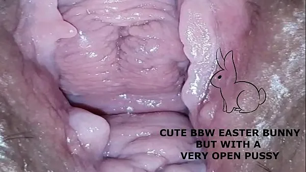 HD Cute bbw bunny, but with a very open pussy พลังวิดีโอ