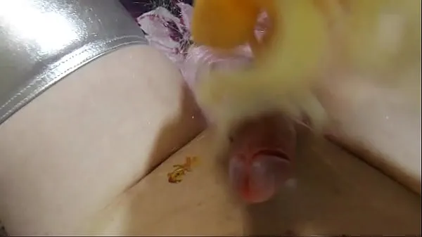 HD masturbation with plush toy my little pony AppleJack power Videos