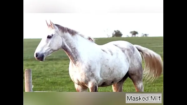 HD Horny Milf takes giant horse cock dildo compilation | Masked Milf พลังวิดีโอ